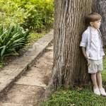 PaperTrade - Ολοκληρωμένα Συστήματα Καθαρισμού