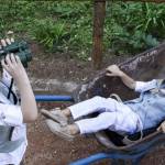 PaperTrade - Ολοκληρωμένα Συστήματα Καθαρισμού