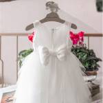 PaperTrade - Ολοκληρωμένα Συστήματα Καθαρισμού