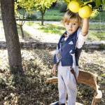 PaperTrade - Ολοκληρωμένα Συστήματα Καθαρισμού