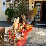 PaperTrade - Ολοκληρωμένα Συστήματα Καθαρισμού