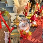 PaperTrade - Ολοκληρωμένα Συστήματα Καθαρισμού