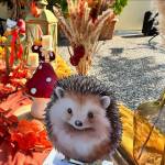 PaperTrade - Ολοκληρωμένα Συστήματα Καθαρισμού