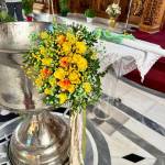 PaperTrade - Ολοκληρωμένα Συστήματα Καθαρισμού