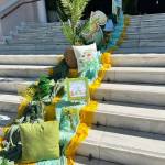 PaperTrade - Ολοκληρωμένα Συστήματα Καθαρισμού