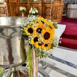 PaperTrade - Ολοκληρωμένα Συστήματα Καθαρισμού