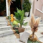 PaperTrade - Ολοκληρωμένα Συστήματα Καθαρισμού