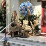 PaperTrade - Ολοκληρωμένα Συστήματα Καθαρισμού